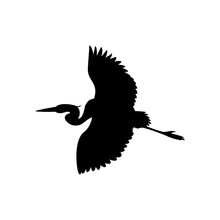 The Heron Is Flying Vector Illustration  Black Silhouette 
