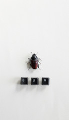 big dead beetle next to the word BUG written with keyboard keys