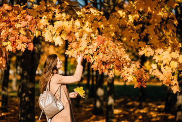 Beautiful young happy girl with a bright red-yellow autumn leaf in the park