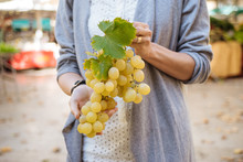 Unidentified Person Holding Cluster Of Grapes And Ready To Consume Some Of It
