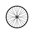 Bicycle (bike) wire wheel