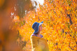© Stocksy - Woman in the countryside during autumn