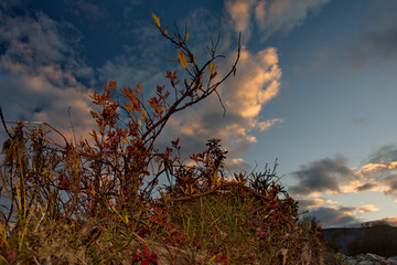 Wall Mural - Russia. far East. Twilight on the shore of the mountain river