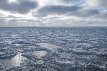 Wall Mural - ice freezes in winter on the surface of a large body of water.