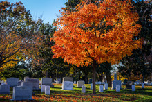 Arlington National Cemetery In Late Autumn 