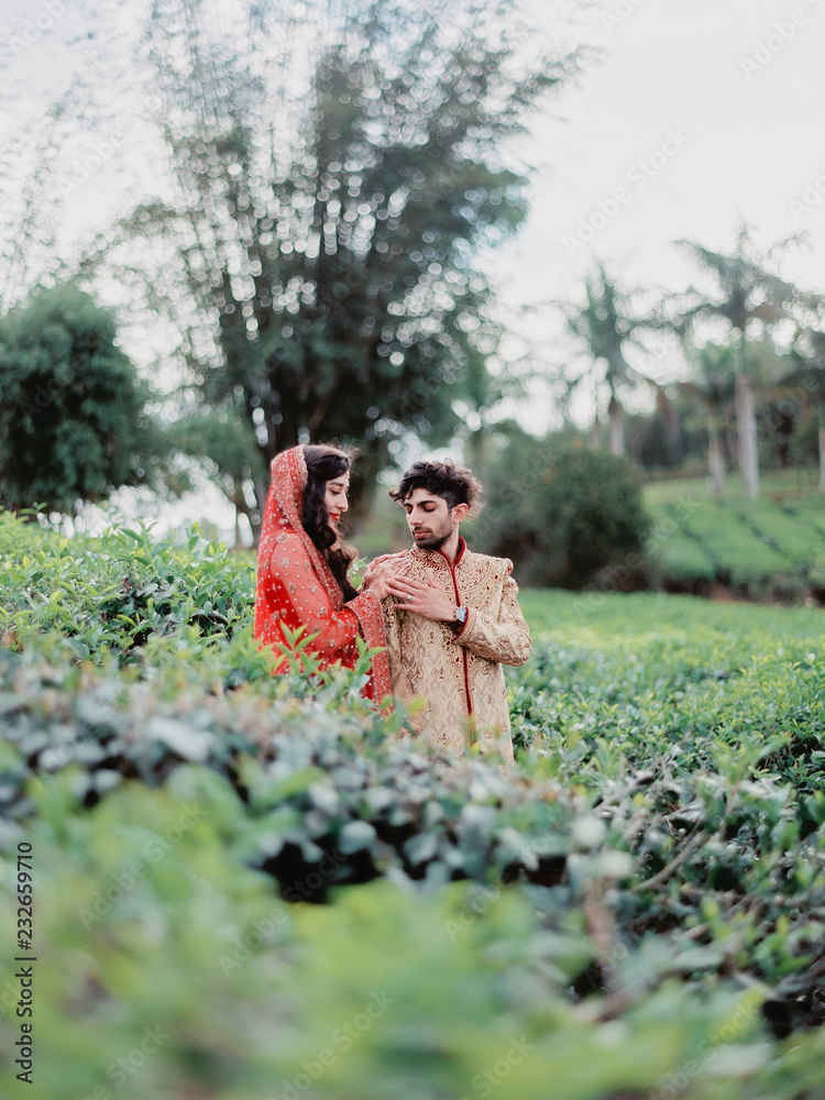 A portrait of an indian newly married wearing traditional wedding ...