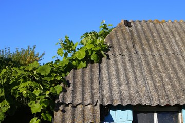 The roof of the old house