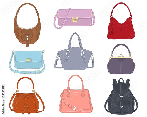 Women Fashion Handbags Collection Vector Illustration