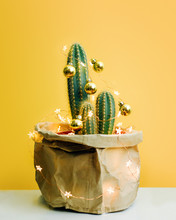 Cactus Decorated With Gold Baubles