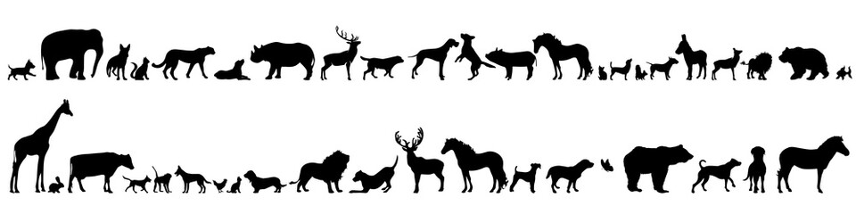 Vector silhouette of set of different animals.