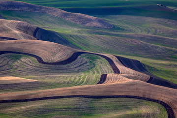 Wall Mural - Green grassland