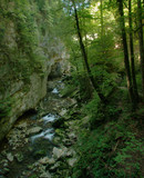 Fototapeta Las - Section of the stream bed and walls in the Gorges de l'Areuses, Romandie