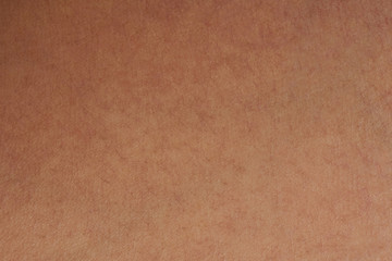 Wall Mural - Human skin pattern closeup