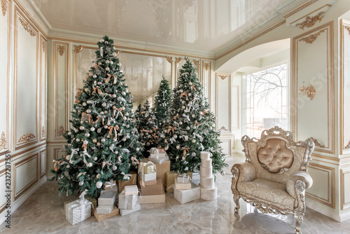 Christmas Morning Classic Luxurious Apartments With