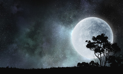 Poster - It is fullmoon