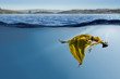 © Sergey Nivens - Woman dancer in clear blue water