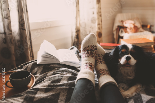 cozy winter day at home with cup of hot tea, book and sleeping dog Poster Mural XXL