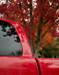 Wall Mural - Matching red color of maple foliage and parked pickup truck in Redmond during fall season
