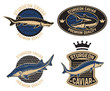 Sturgeon caviar label template. Design element for logo, label, emblem, sign, poster.