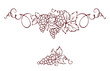 © imagination13 - Grapes / Vector illustration, vintage design element