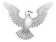 A white dove, a symbol of peace, faith or hope
