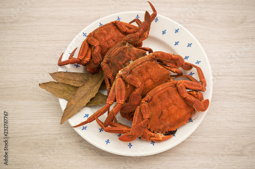 Fotografie, Obraz Cooked crabs on a plate accompanied by bay leaves