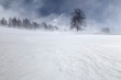 © ClickAlps - Orsiera Rocciavre Park, Chisone Valley,Turin, Piedmont, Italy. Winter Orsiera Rocciavre Park .