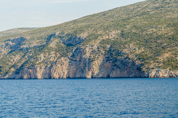 Tall rocky seashore with green plants on a sunny day