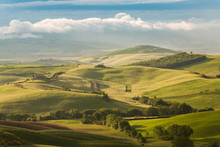 Rolling Hills In Orcia Valley, Siena Province, Tuscany, Italy