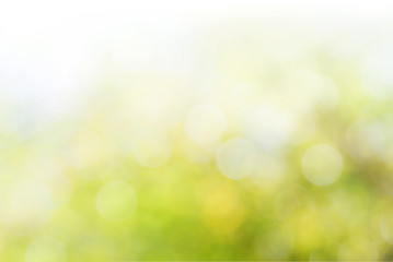 Wall Mural - defocused lights background