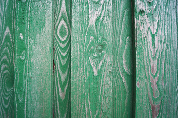   Beautiful wooden green background for design, banner and layout.