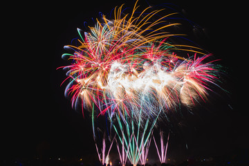 Wall Mural - new year fireworks