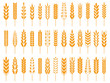 Wheat grain icons. Wheats bread logo, farm grains and rye stalk symbol isolated vector icon