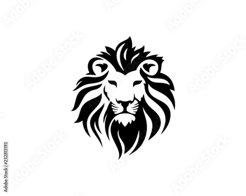 lion 12 Canvas Print