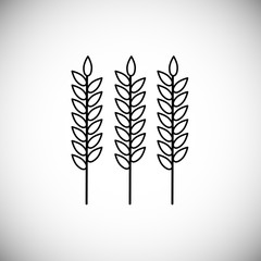  Vector illustration. Line style icon of barley ears for thanksgiving day. Simple element for different design.