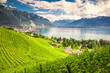Montreux city with Swiss Alps, lake Geneva and vineyard on Lavaux region, Canton Vaud, Switzerland, Europe.