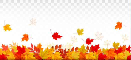 Aufkleber - Autumn nature panorama with colorful leaves. Vector