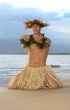 Male Hula Dancer kneels in a Hawaiian pose of worship.  