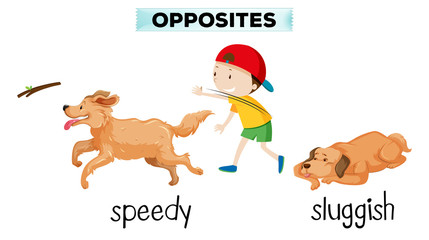 Poster - english vocabulary opposite word