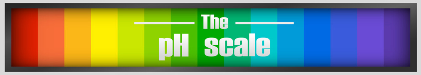 Poster - The ph scale diagram