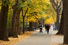 New York City Street Autumn Foliage People Walking