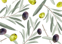 オリーブの葉と果実 背景　水彩 イラスト
