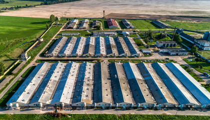 Livestock farm, farm for growing pigs. Aerial view.