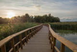Fototapeta Pomosty - Wooden walkway over the water of daimiel tables