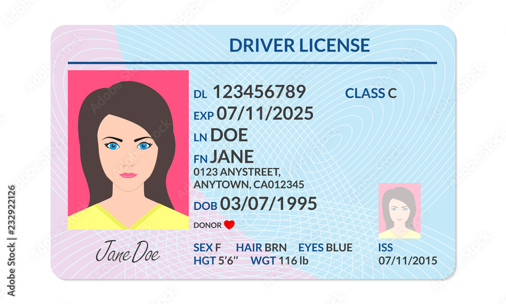 Driver License With Female Photo Identification Or ID Card Document 