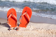 Flip flops on vacation