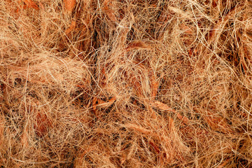 Wall Mural - texture Coconut fiber abstract background