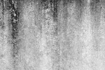 Wall Mural - Texture of Grey concrete wall