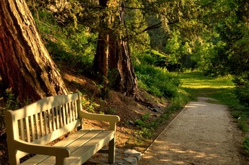 bench in the park 2