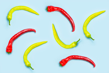 Red and green bitter chili pepper on blue background Flat lay top view. Creative Food concept.